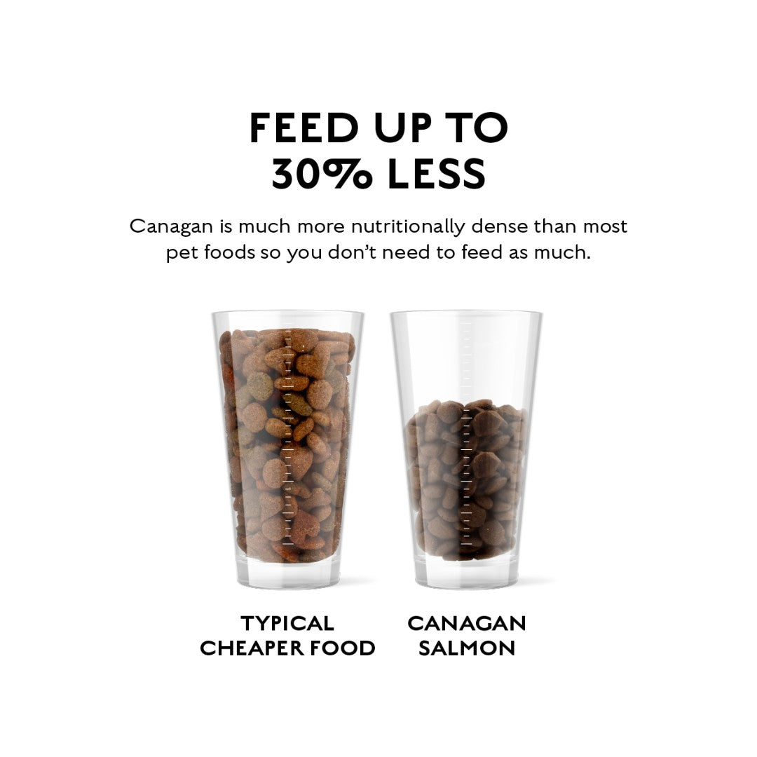 Canagan Scottish Salmon Dog Dry Food contains fresh, deboned Scottish Salmon with white fish, trout, and herring. Contains beneficial botanicals 5.