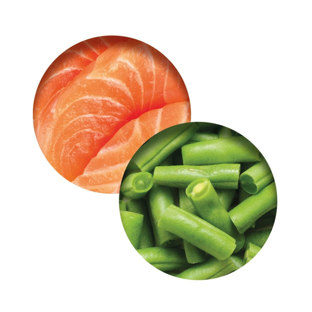 Catit Cuisine Fish Dinner with Salmon & Green Beans Cat Wet Food - product view 2