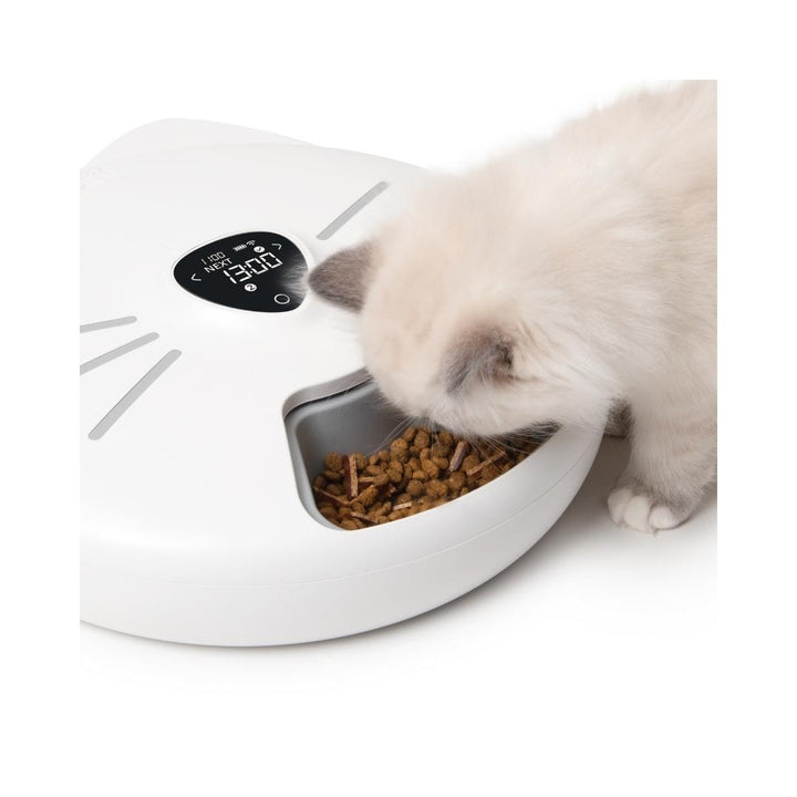 Catit Pixi Smart 6 Meal Automatic Cat Feeder Petz.ae Dubai Pet Store 3
