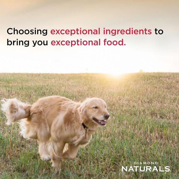Diamond Naturals Adult Dog Beef Meal & Rice Formula We use pasture-raised beef protein for superior taste and nutrition AD.