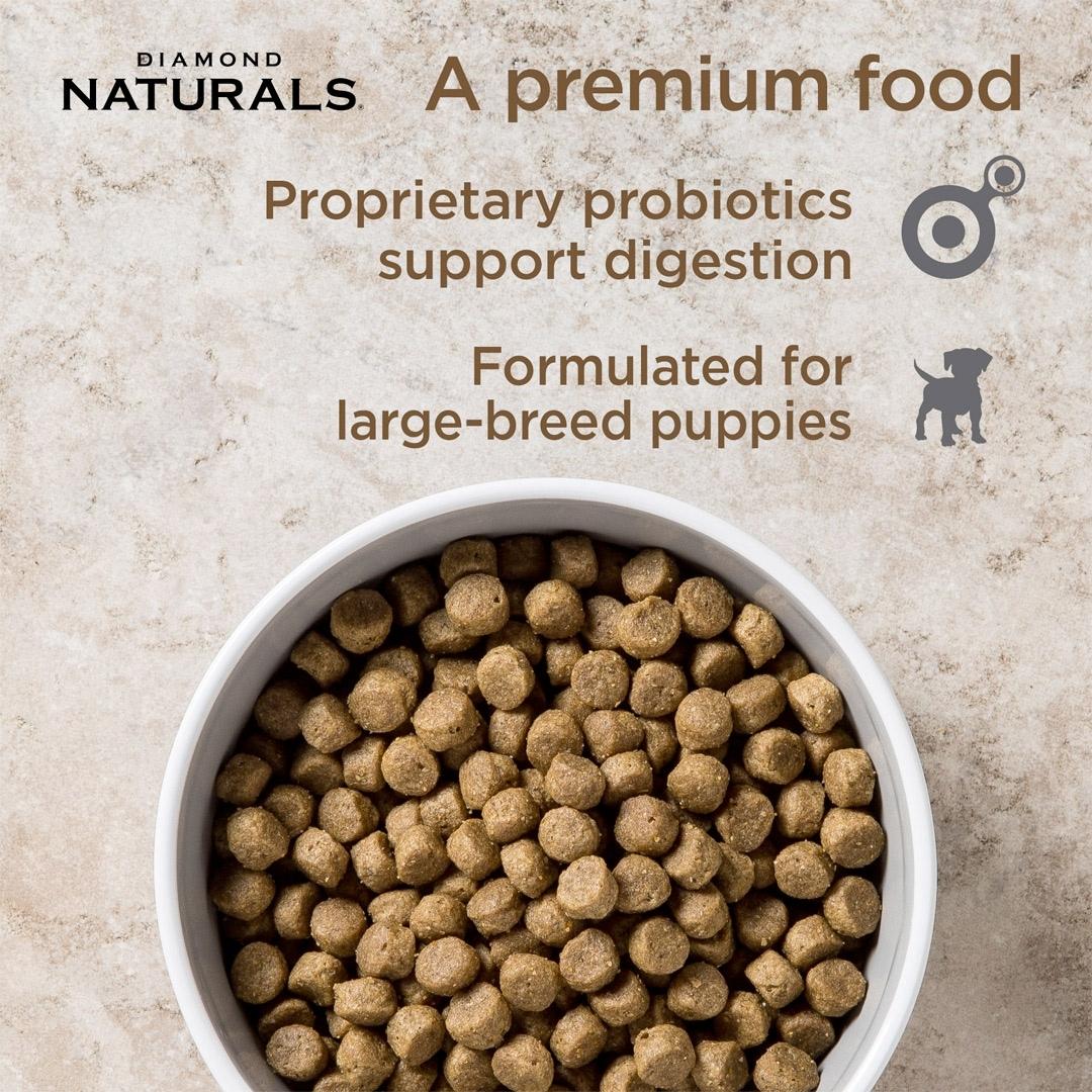 Diamond Naturals Large Breed Puppy Lamb & Rice Dog Food - product image 3