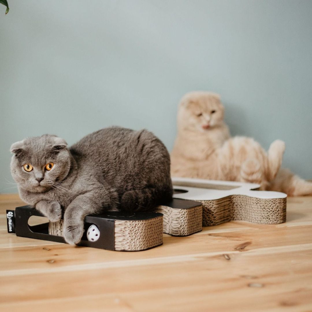 District 70 Puzzle Cardboard Cat Scratch Toy - Interactive Entertainment for Cats in Dubai - AD