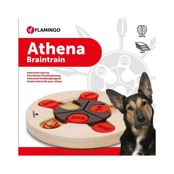 Flamingo Athena Brain Train Natural Dog Toy - Mental Stimulation and Durability in Dubai - Full Box