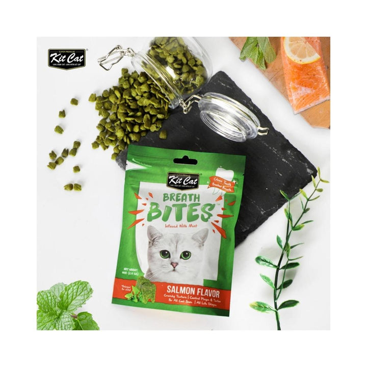 Kit Cat Breath Bites keep your cat's teeth healthy. These salmon-flavored treats reduce plaque and tartar buildup when fed daily AD.