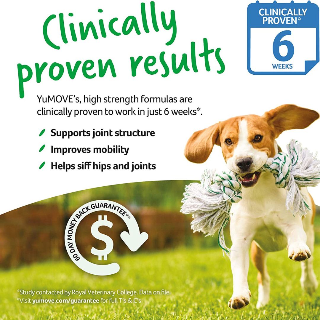 YUMOVE Joint Health Supplement for Dogs by Lintbells.