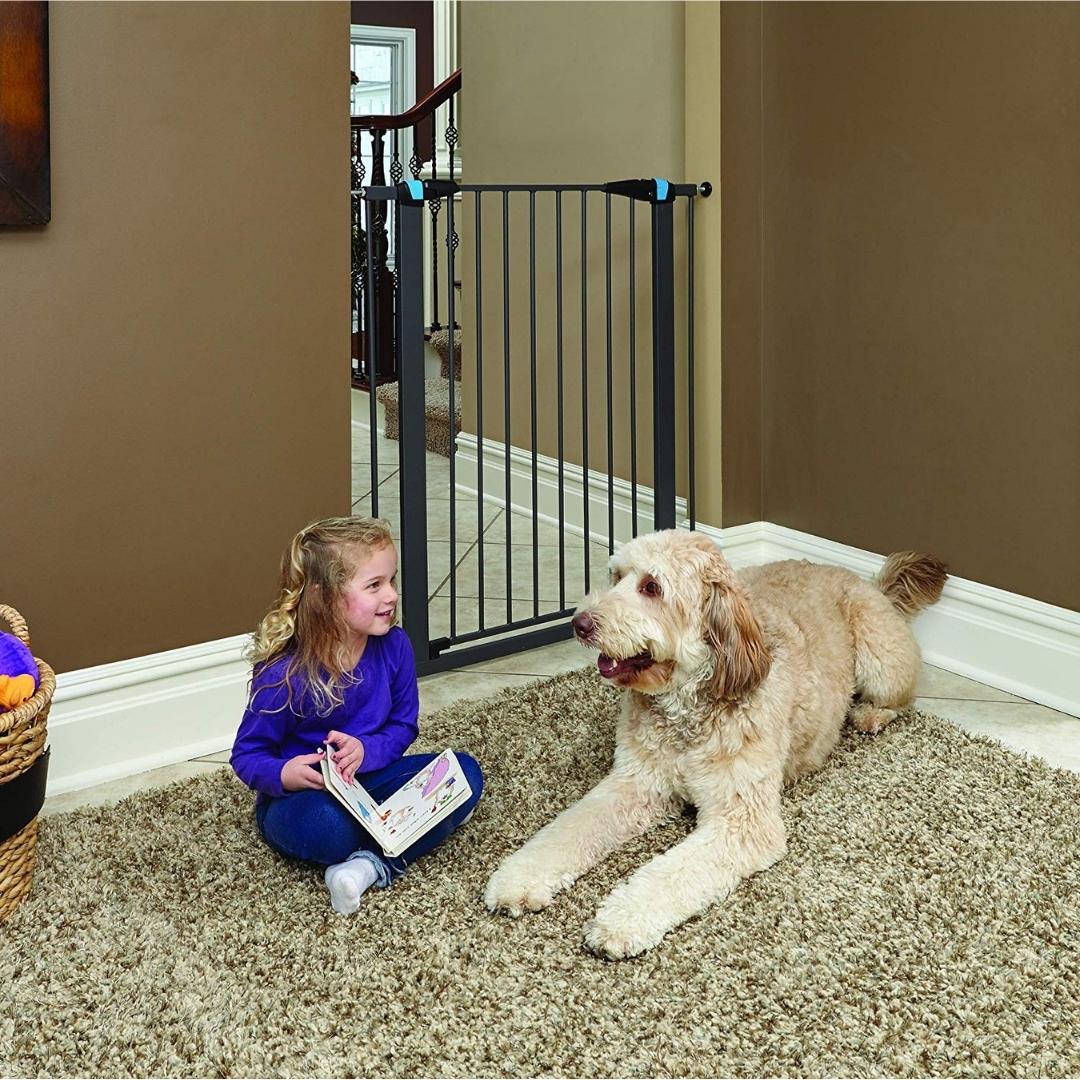 MidWest Graphite Glow in the Dark Steel Pet Gate Petz.ae
