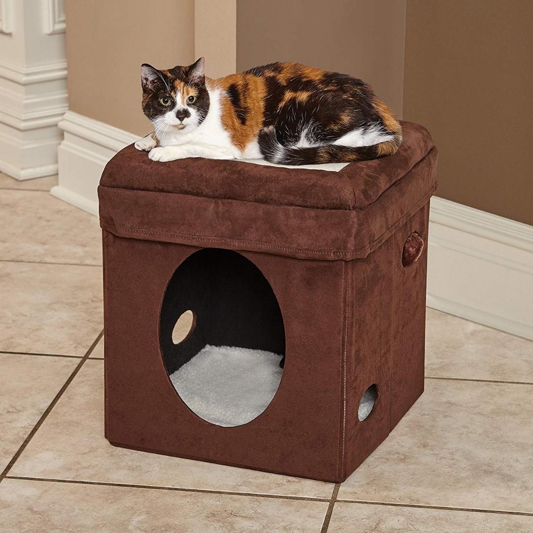 MidWest Curious Cat Cube Brown Petz.ae Ads