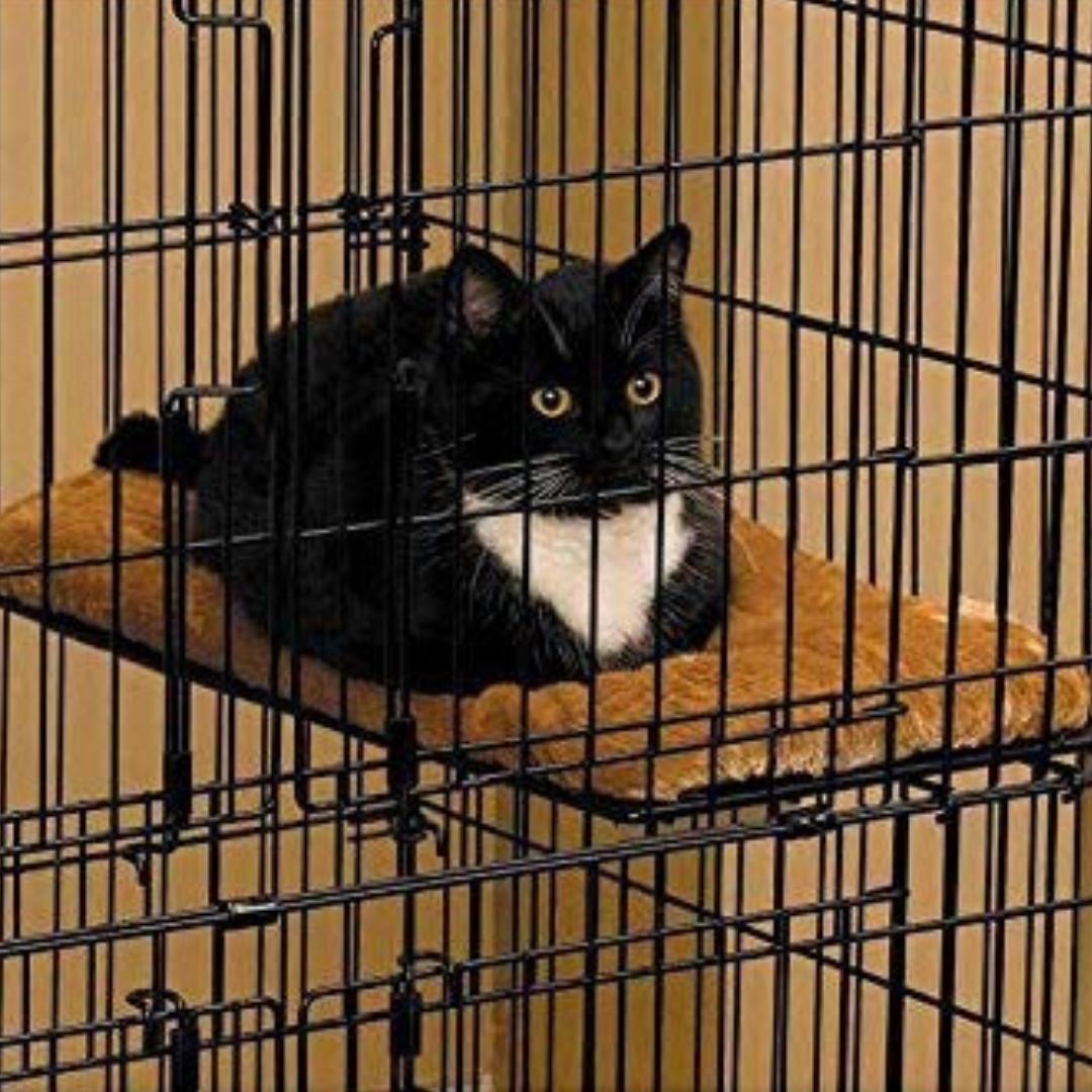 MidWest Plush Cat Bed Petz.ae 4
