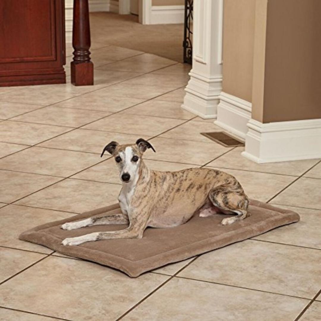 MidWest Quiet Time Deluxe Micro Terry Pet Bed Petz.ae Ad 4