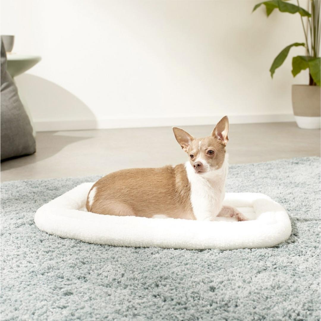 MidWest Quiet Time White Fashion Double Bolster Bed Petz.ae Ad