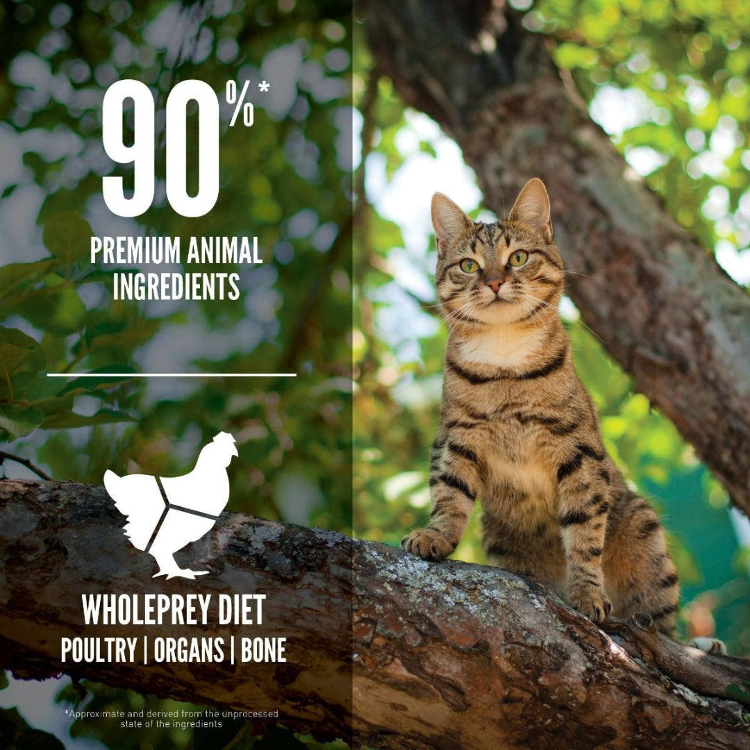 Orijen Guardian 8 Cat Dry Food helps support your cat’s digestion with prebiotics such as dried chicory root and natural sources of fiber 4.