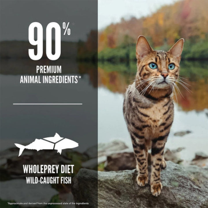 Orijen Six Fish Cat Dry Food recipe is formulated for all life stages, a diet rich in various animal proteins and nutrients 4.