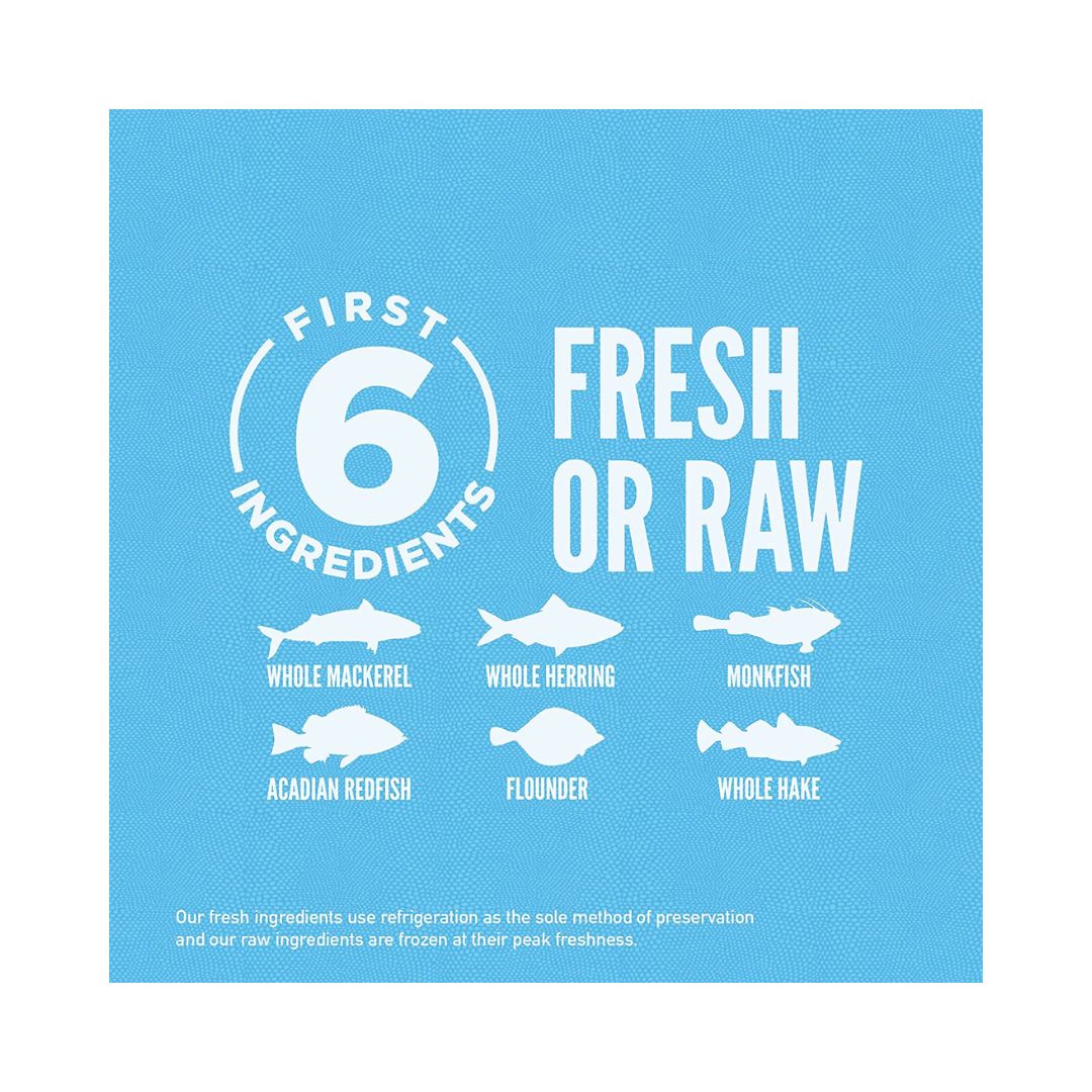Orijen Six Fish Dog Dry Food Help your dog thrive with the power of protein-rich recipes that provide peak nourishment 3.