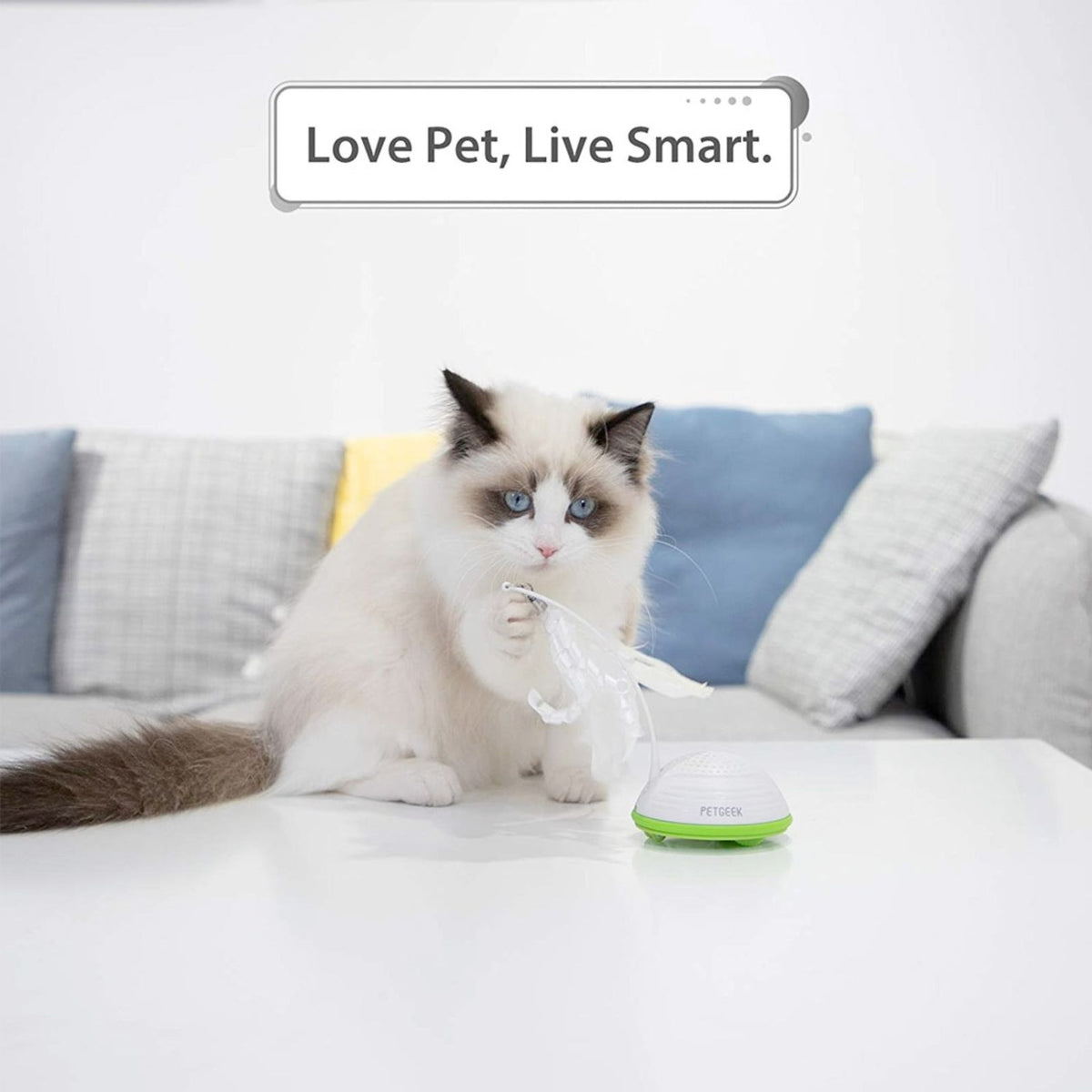 PetGeek Running Smart Cat Toy Petz.ae 4