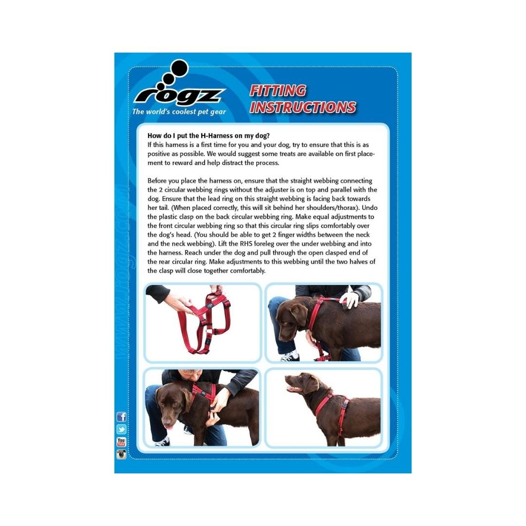 Rogz Red Bone Dog Harness Petz.ae Dubai Pet Store UAE