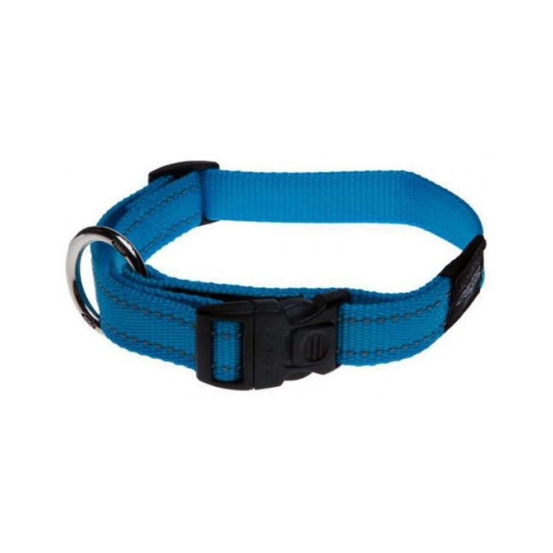 Rogz Utility Reflective Stitching Dog Collar Turqoise Petz.ae
