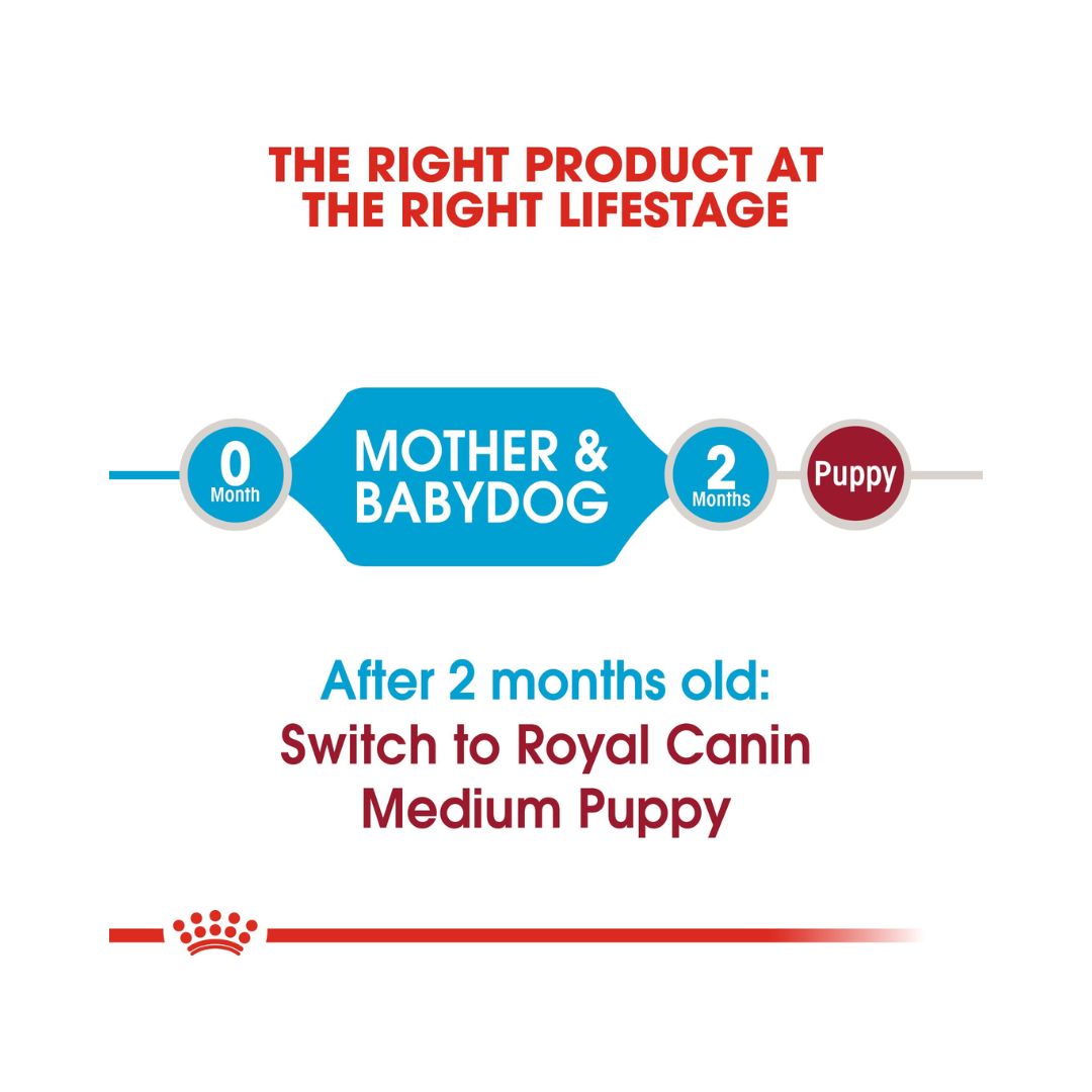 Royal Canin Medium Starter Mother and Babydog Dry Dog Food - Size and age 