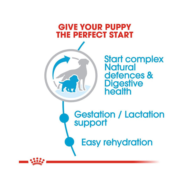 Royal Canin Medium Starter Mother & Babydog Dry Dog Food For the medium breed at the end of gestation and during lactation - Weaning puppies up to 2 months old 5.