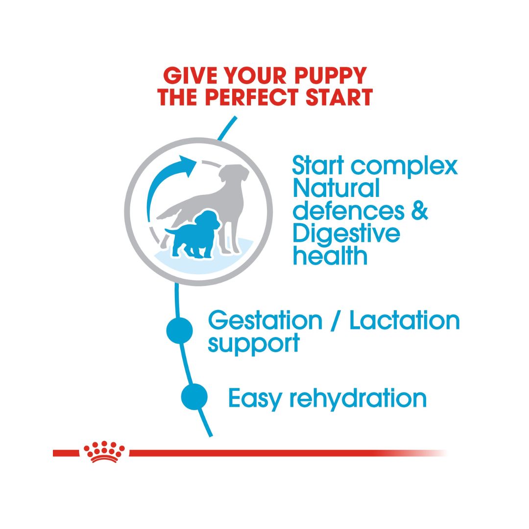 Royal Canin Medium Starter Mother and Babydog Dry Dog Food - Benefits 