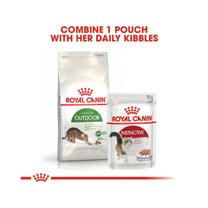 Royal Canin Active Life Outdoor Dry Cat Food - 2kg pack - With Wet Food
