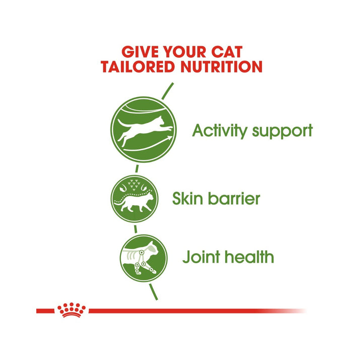 Royal Canin Active Life Outdoor Dry Cat Food - 2kg pack - Food benefits 