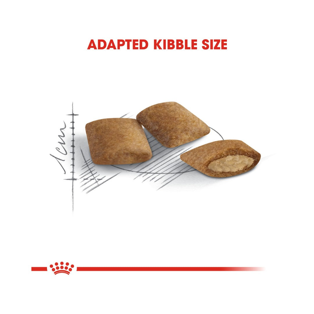 Royal Canin Ageing 12+ Dry Cat Food - 2kg pack - kibble size 