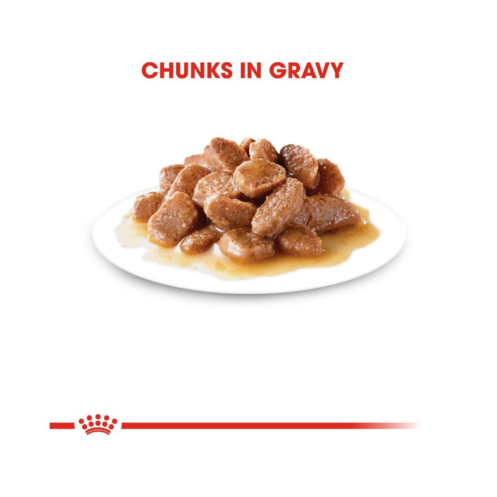 Royal Canin Ageing 12+ Gravy Wet Cat Food Complete feed for senior cats over 12 years old (thin slices in gravy) 3.