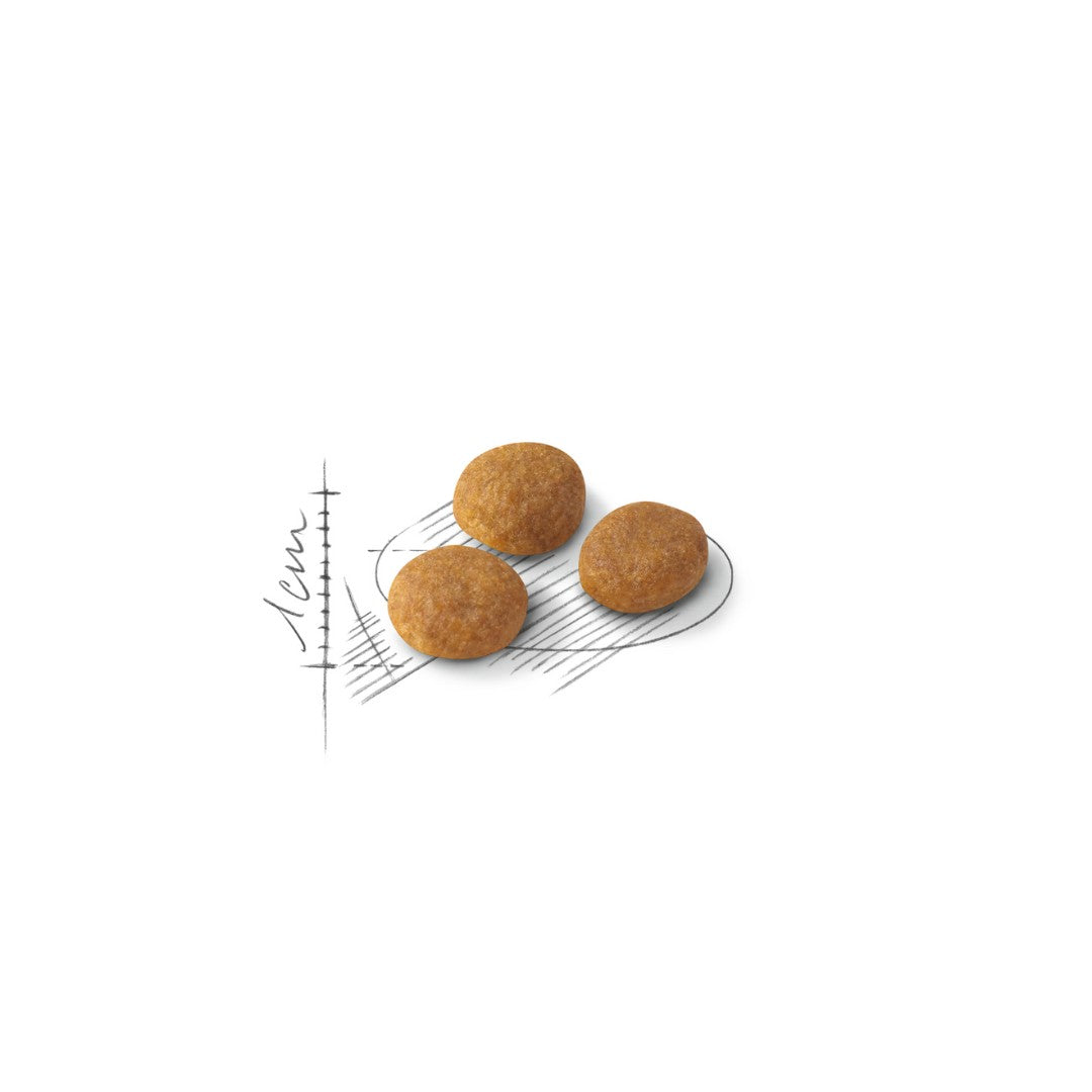 Royal Canin Aroma Exigent Cat Dry Food - 2kg pack Kibble Size