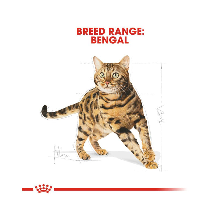 Royal Canin Bengal Adult Cat Dry Food - 2kg pack.