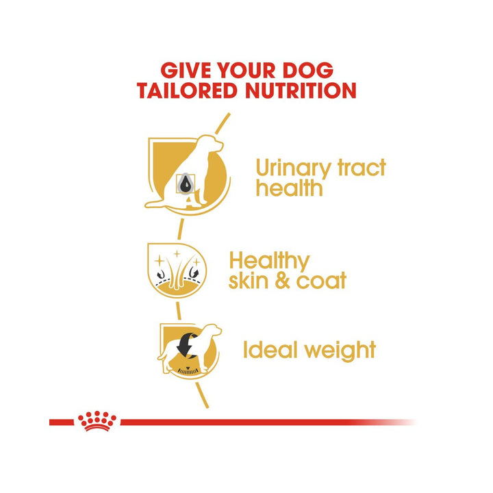 Royal Canin Adult Bichon Frise is a complete dog food that has been specially formulated to meet the needs of the Bichon Frise breed 4.