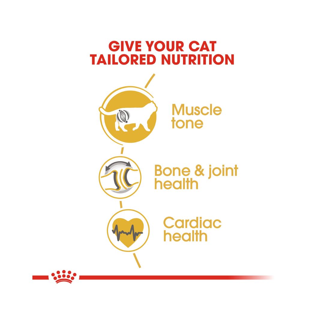 Royal Canin British Shorthair Adult Cat Dry Food - 4kg pack - Food benefits 