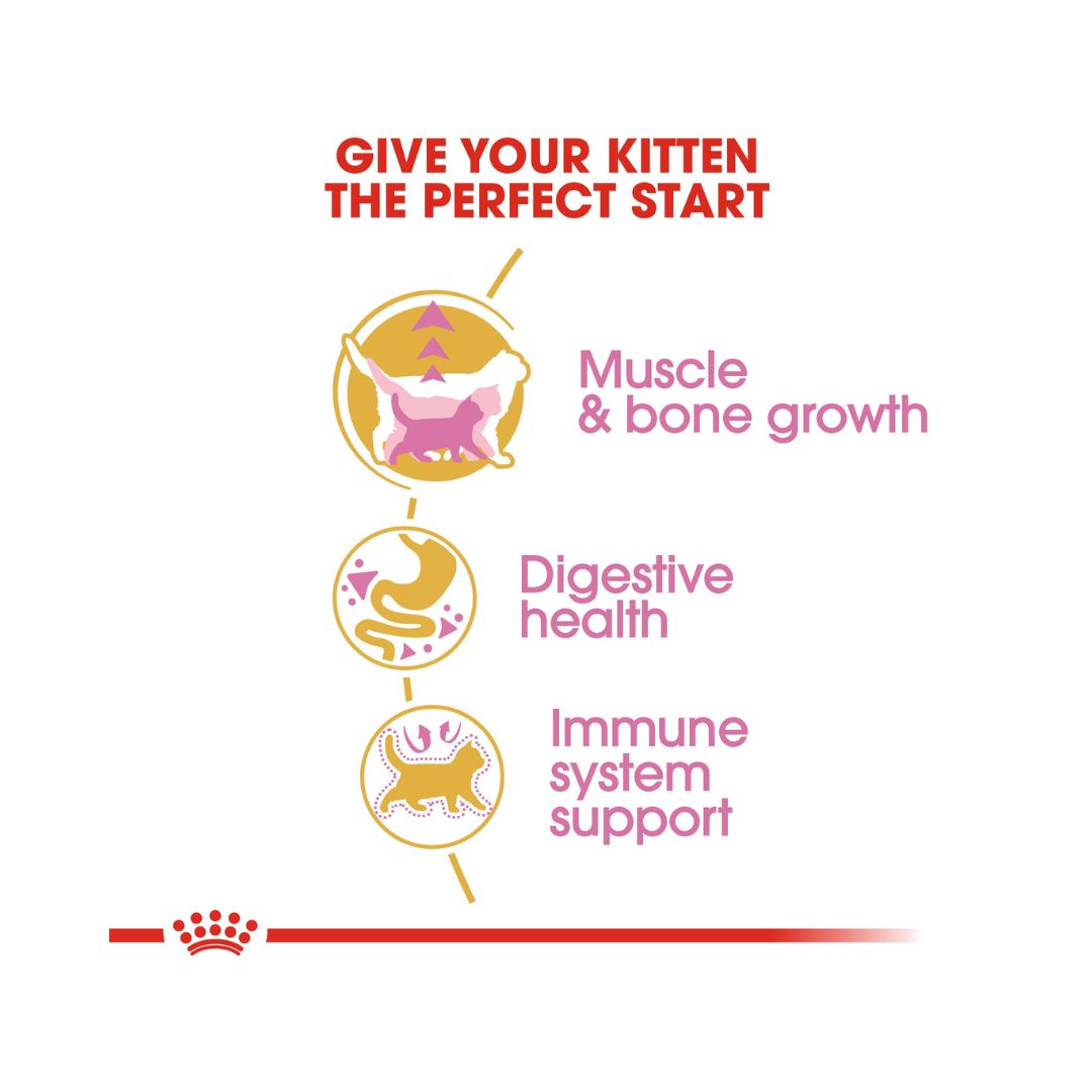 Royal Canin British Shorthair Kitten Dry Food - 2kg pack Food benefits 