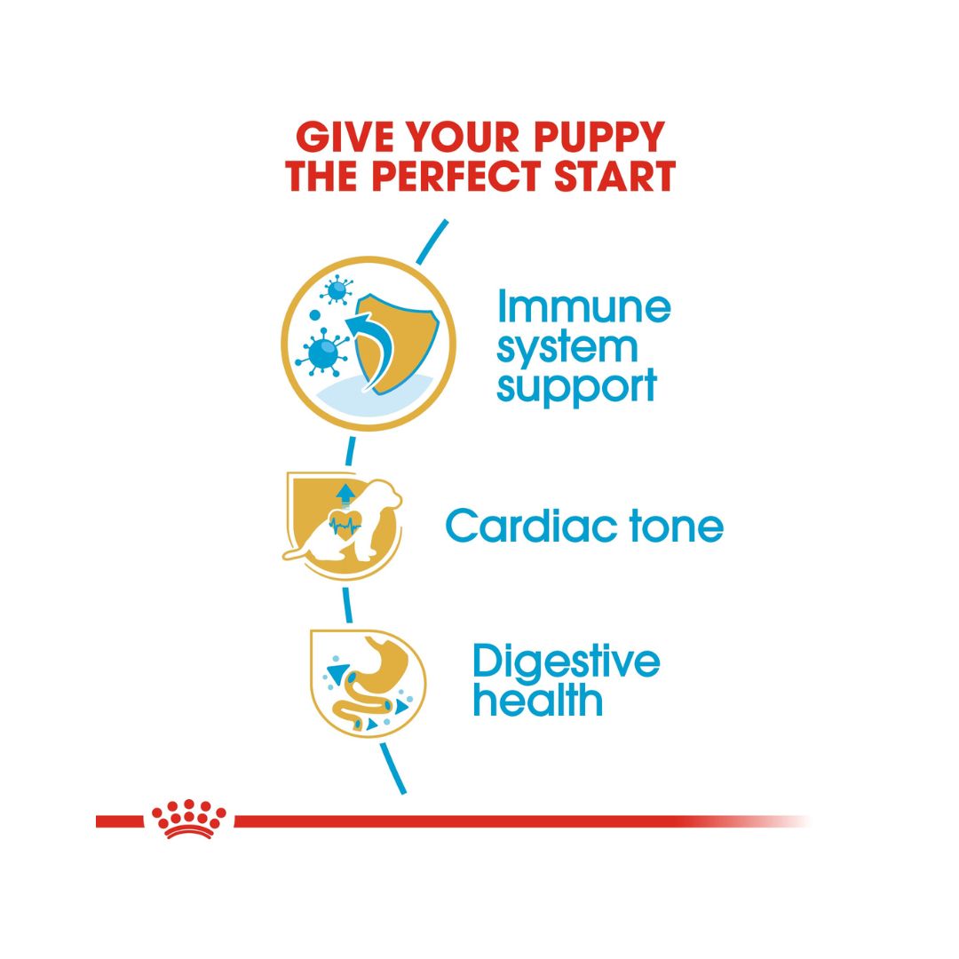 Royal Canin Cavalier King Charles Puppy Dry Food, 1.5kg bag - Digestive Health.