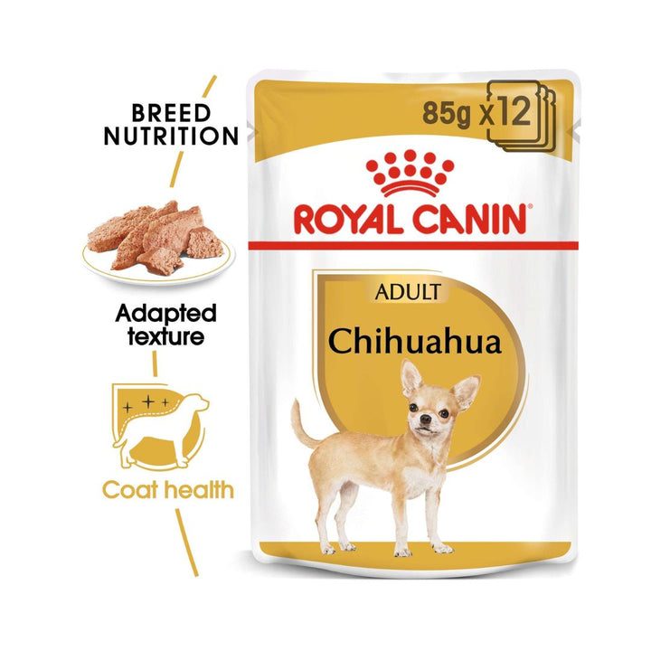 Royal Canin Chihuahua Adult Dog Wet Food - Coat and Health