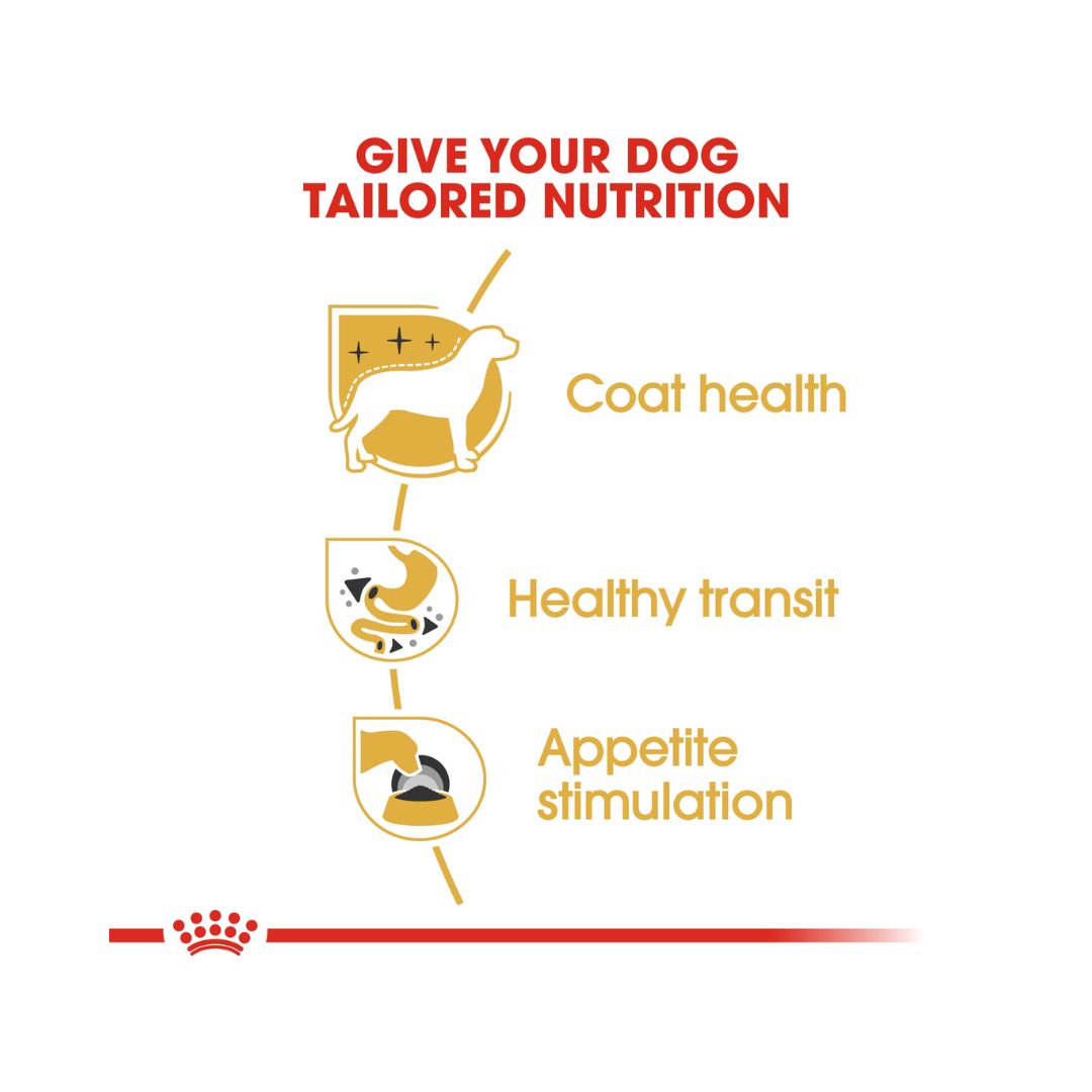Royal Canin Chihuahua Adult Dog Wet Food - Benefits 