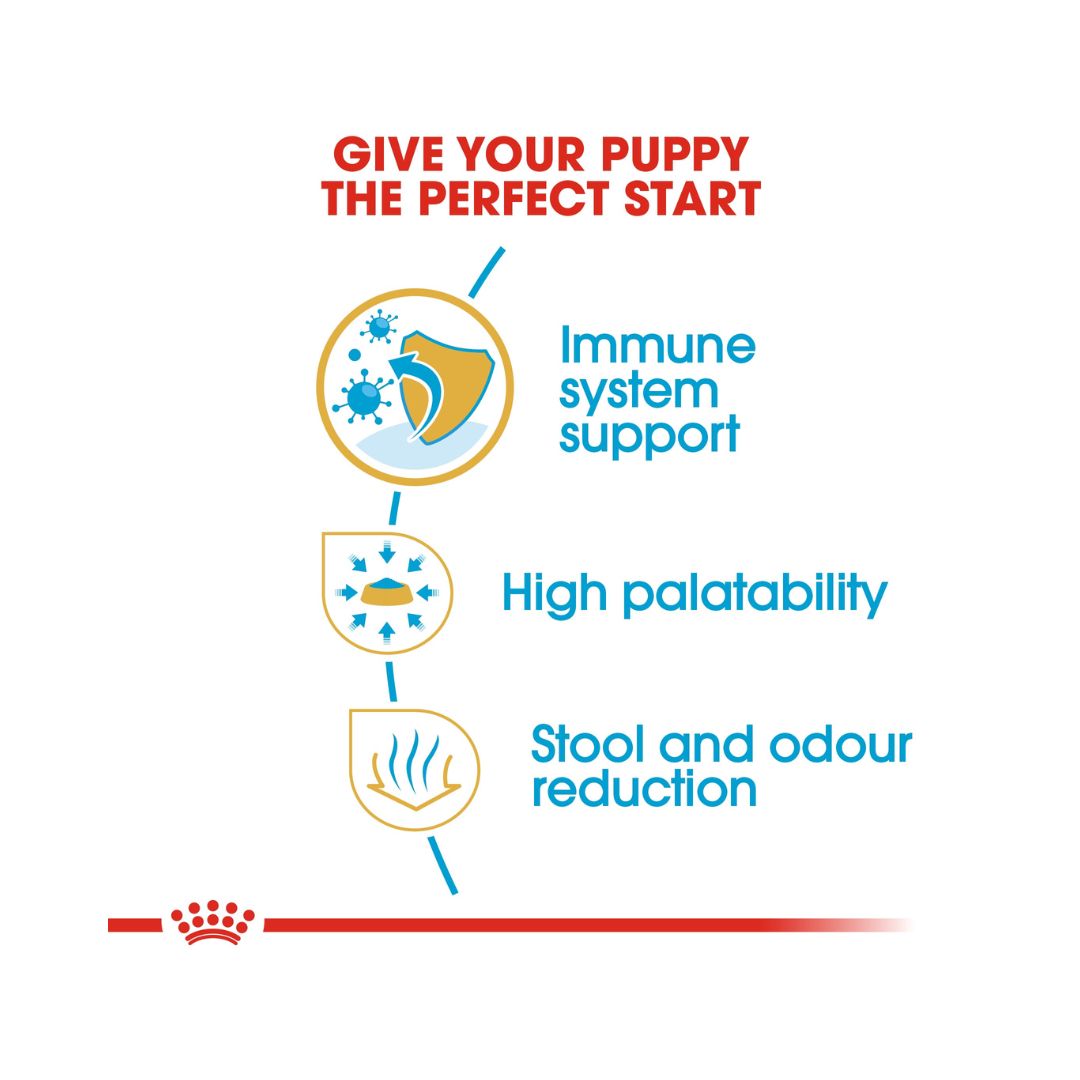 Royal Canin Chihuahua Puppy Dry Food, 1.5kg bag - Benefits.