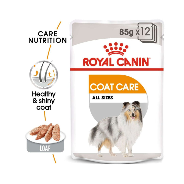 Royal Canin Coat Beauty Care Adult Dog Wet food For dogs with dull and rough hair and Healthy & shiny coats for adult dogs over 10 months old 2.