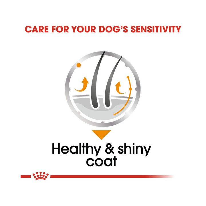 Royal Canin Coat Beauty Dog Wet Food  - Benefits 