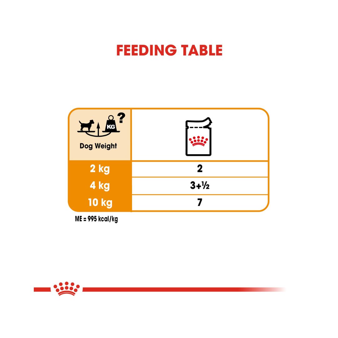Royal Canin Coat Beauty Dog Wet Food  - Feeding Guide 