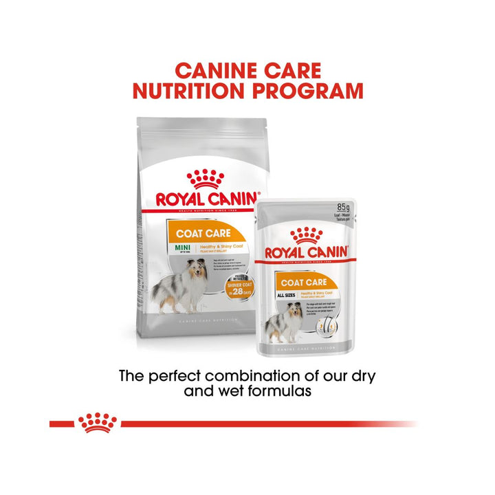 Royal Canin Coat Beauty Dog Wet Food  - With Dry Food