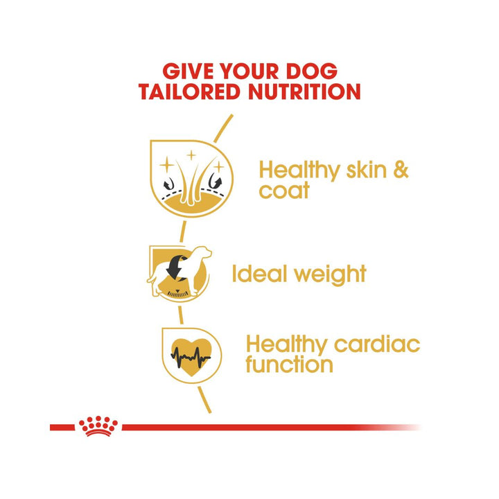 Royal Canin Cocker Spaniel food has been developed to help support their skin and coat health and cardiac muscle health 3.