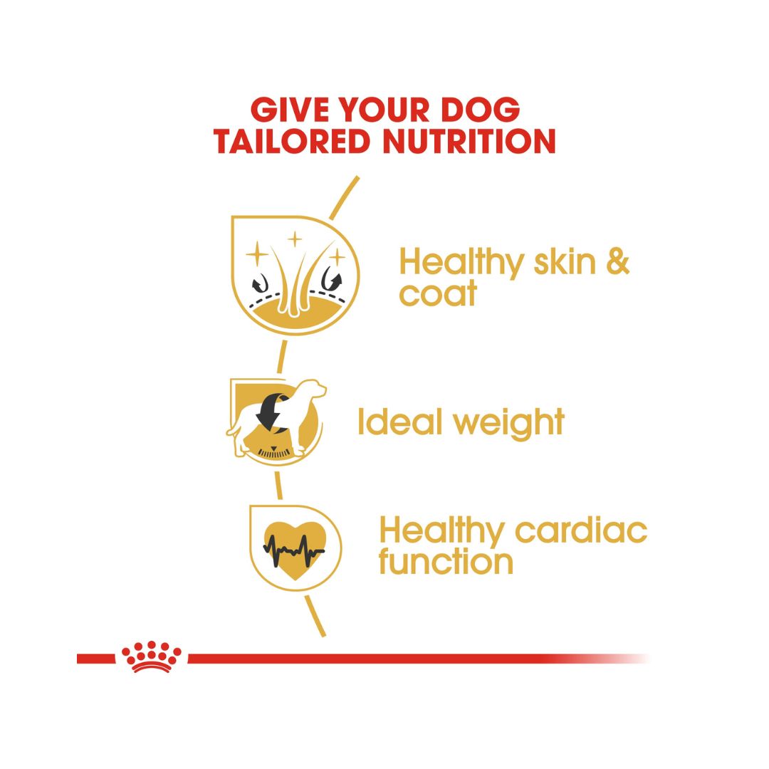 Royal Canin Cocker Spaniel Adult Dog Dry Food, 3kg pack - Benefits.