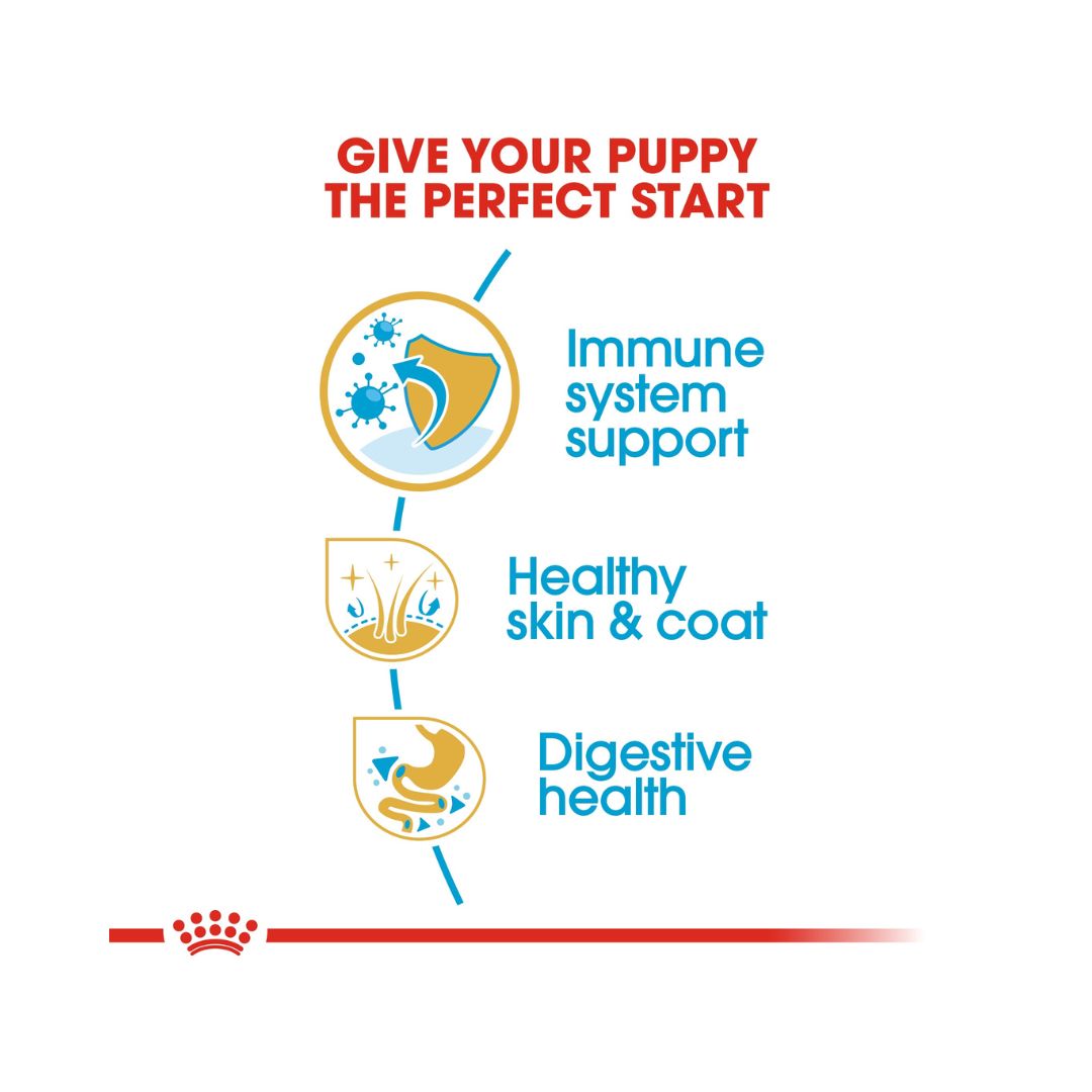 Royal Canin Cocker Spaniel Puppy Dry Food, 3kg pack- Benefits.