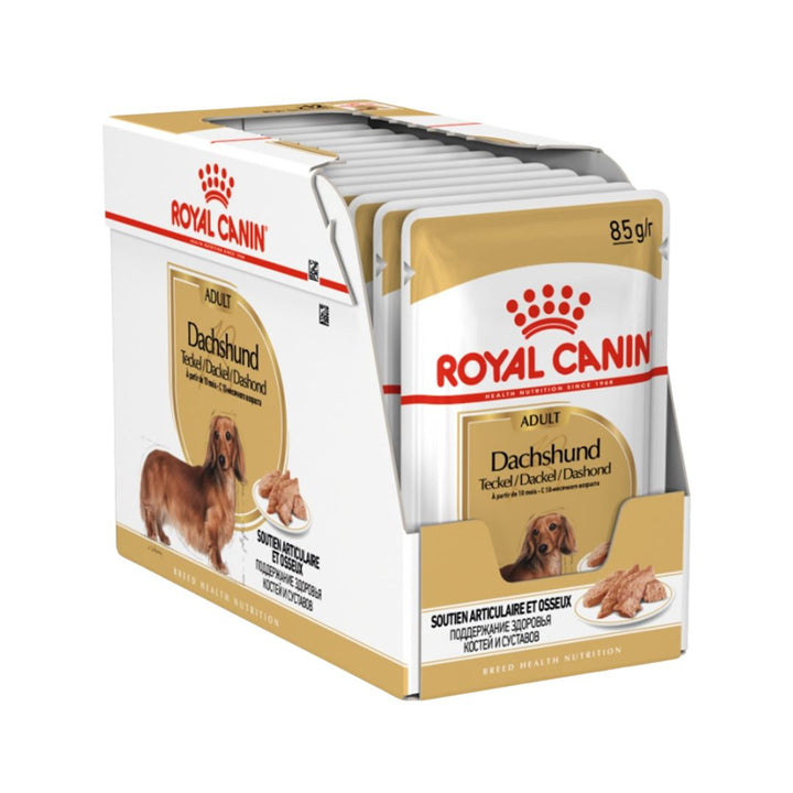 Royal Canin Dachshund, adult wet dog food, is designed to meet the nutritional needs of purebred Dachshunds over ten months old 3. 