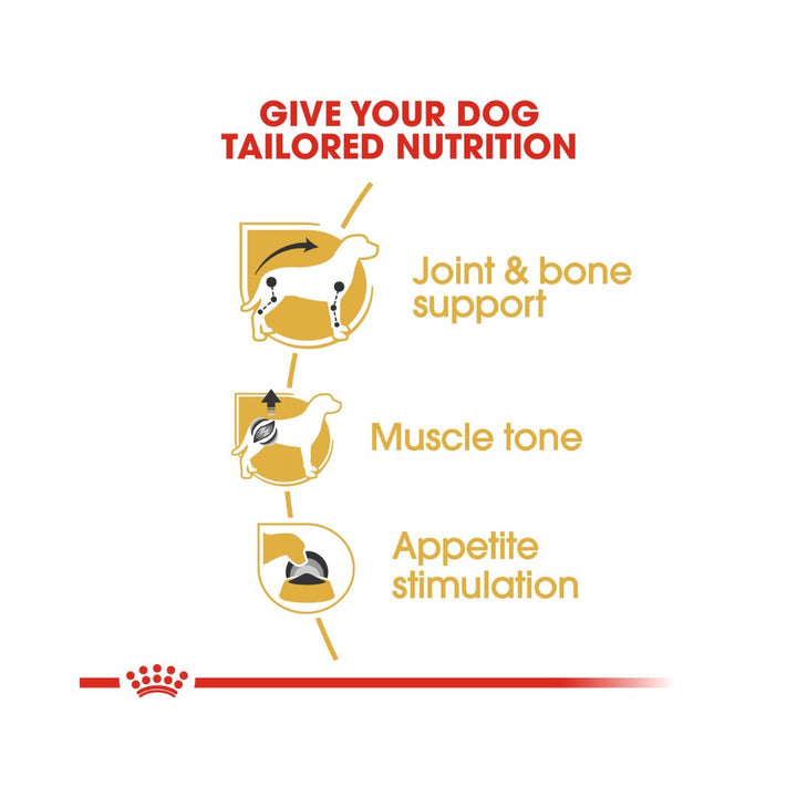 Royal Canin Dachshund, adult wet dog food, is designed to meet the nutritional needs of purebred Dachshunds over ten months old 5. 