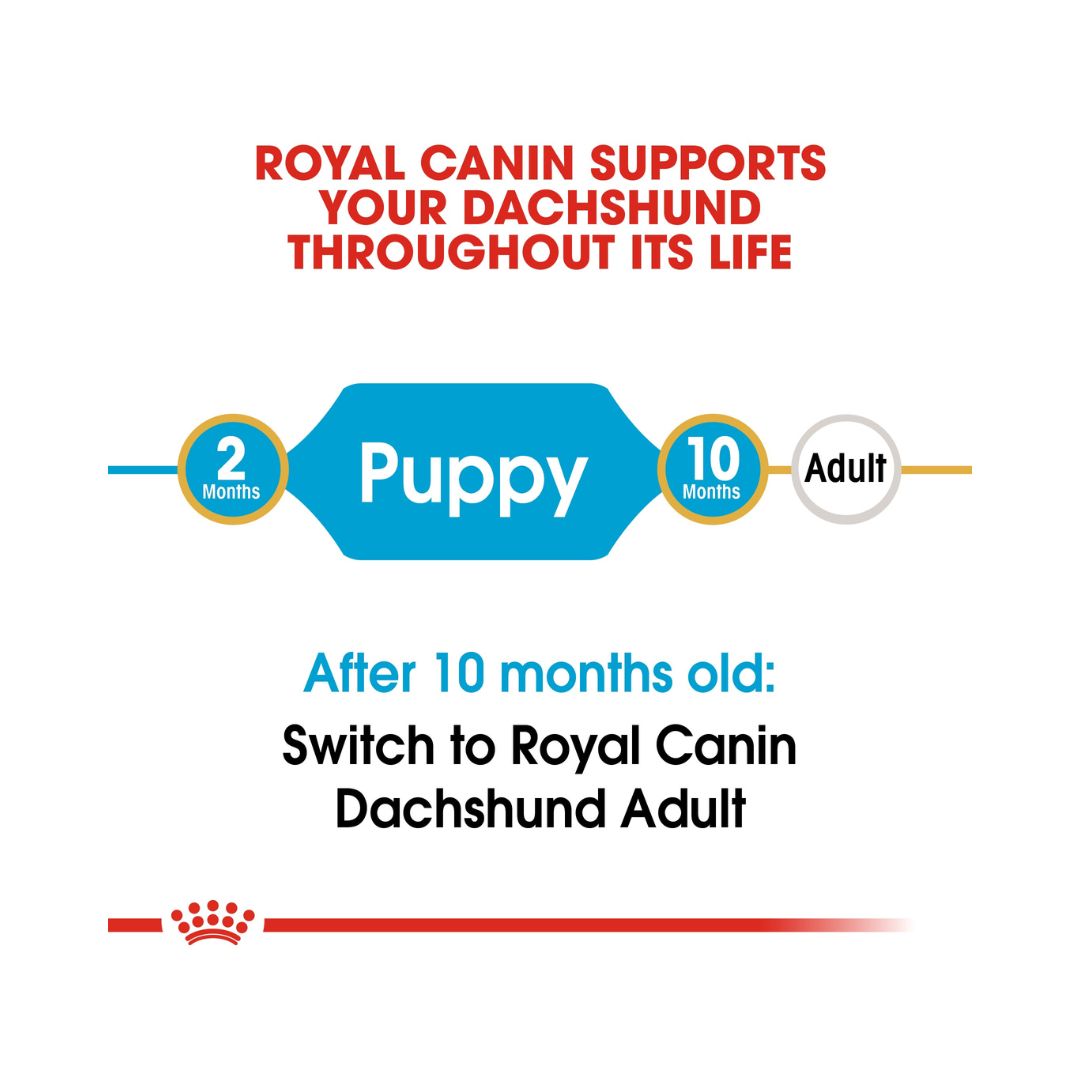 Royal Canin Dachshund Puppy Dry Food, 1.5kg pack. Age
