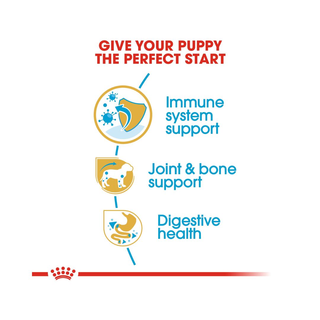 Royal Canin Dachshund Puppy Dry Food, 1.5kg pack. Benefits. 