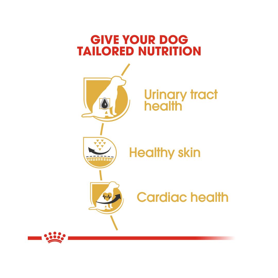 Royal Canin Dalmatian Adult Dog Dry Food, 12kg pack - Benefits.