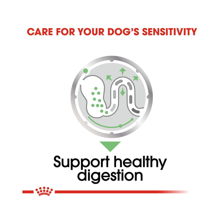 Royal Canin Digestive Care Dog Wet Food - Wet food for adult dogs with digestive sensitivity - Food benefits 