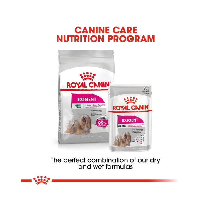 Royal Canin Exigent Dog Wet Food - Wet food for adult dogs with refined palates - With Dry Food